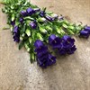 CAMPANULA SNITT BLÅ