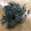 ERYNGIUM BLÅ ORION 40 CM