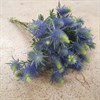 ERYNGIUM BLÅGRÖN SUPERNOVA 50 CM