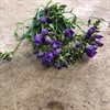FREESIA LILA DUBBEL