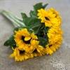 HELIANTHUS ORANGE FIRE 65 CM