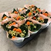 KALANCHOE 6 CM MINI ORA DUBBEL 1X12