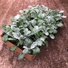 SILVEREK 8 CM MÅLSTA 1X24