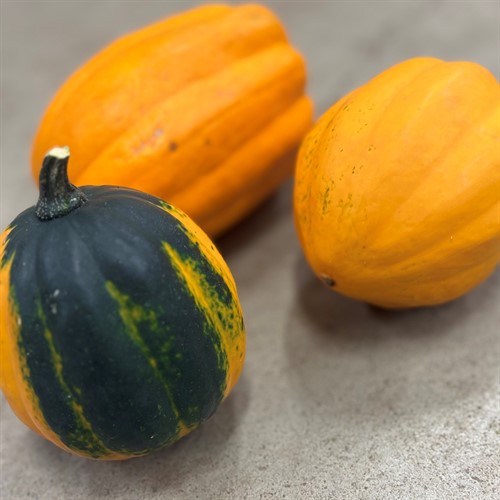Pumpor