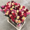 TACAZZI 50 CM MIX URVAL