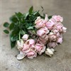 POLYANTHA SWEET BAIKAL ROSA