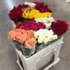 ROSOR MIXADE SORTER 50 CM URVAL