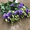 LISIANTHUS LAVENDEL DUBBEL