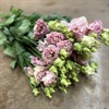 LISIANTHUS ALISSA LIGHT PINK