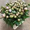 PION ROSA PECHER
