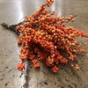 ILEX ORANGE 60 CM