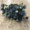 ERYNGIUM BLÅGRÖN BLUE LAGOON 60 CM