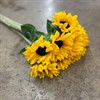 HELIANTHUS GUL SUNRICH ORANGE 80 CM