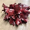 EKBLAD BORDEAUX