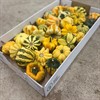 PUMPA MIX 1X30