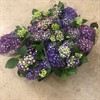 HORTENSIA 13 CM BLÅ  DK 1X6