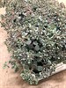 SEDUM 12 CM CAUTICOLA MARIEST 1X10