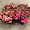 BEGONIA 13 CM  MARIESTAD ROSA,APRIC 1X8