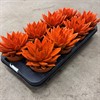 ECHEVERIA 12 CM MIRANDA ORANGE
