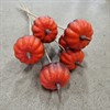 STICKS PUMPA ORA 1X10
